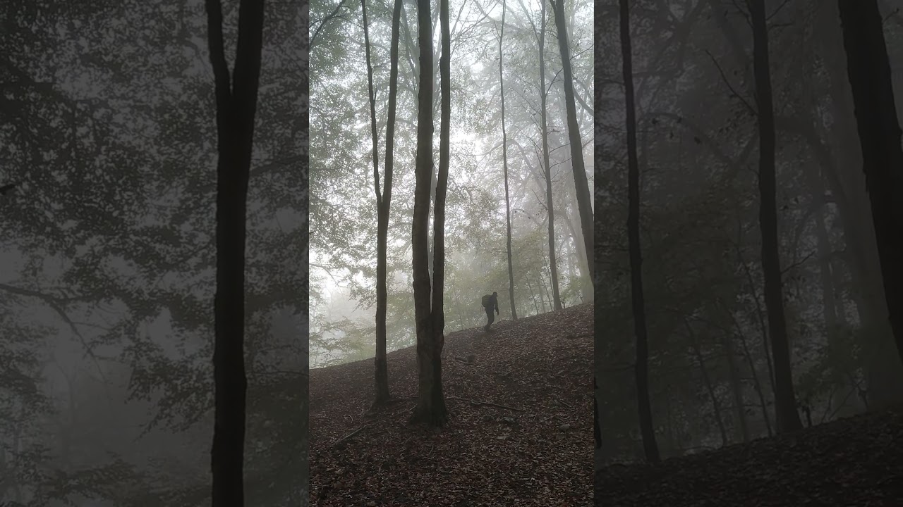 Hiking In Rainy Forest - Hyrcanian Forest - IRAN