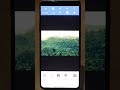 New Text Style Effect Trend | Urban Jungle Font