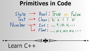Larn Programming with C++ - Primitives in Code