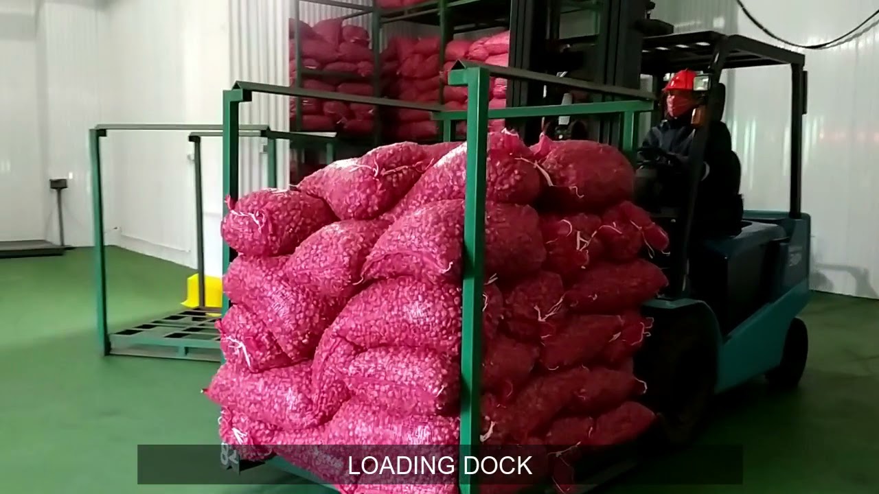 Buana Tunas Segara Subur Jasa Sewa Cold Storage dan Dry Storage Lokasi Surabaya - YouTube