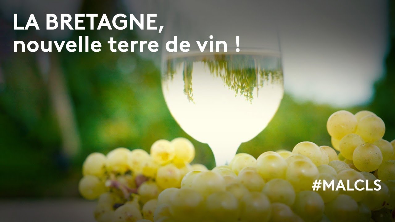 La Bretagne, nouvelle terre de vin !