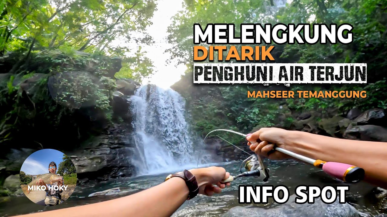 Spot Indah Di Bawah Air Terjun Ternyata Banyak Ikan Mahseernya Jackpot Short Body Mahseer