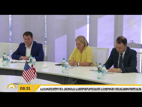 საქართველო და აშშ სამთო-მოპოვებით სექტორში ითანამშრომლებენ