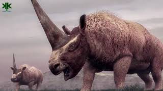 Tek Boynuzlu Atlar Unicornlar Gerçek Olabilir Mi?