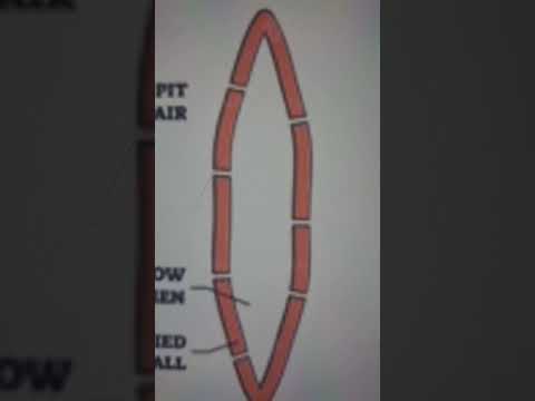 النسيج السكلرنكيمي للسادس العلمي