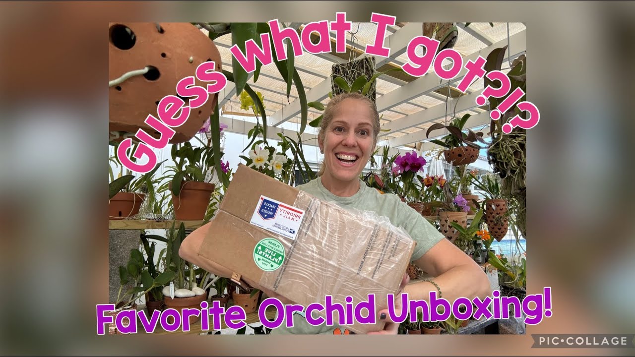 Guess what I got?! Favorite Orchid Unboxing!