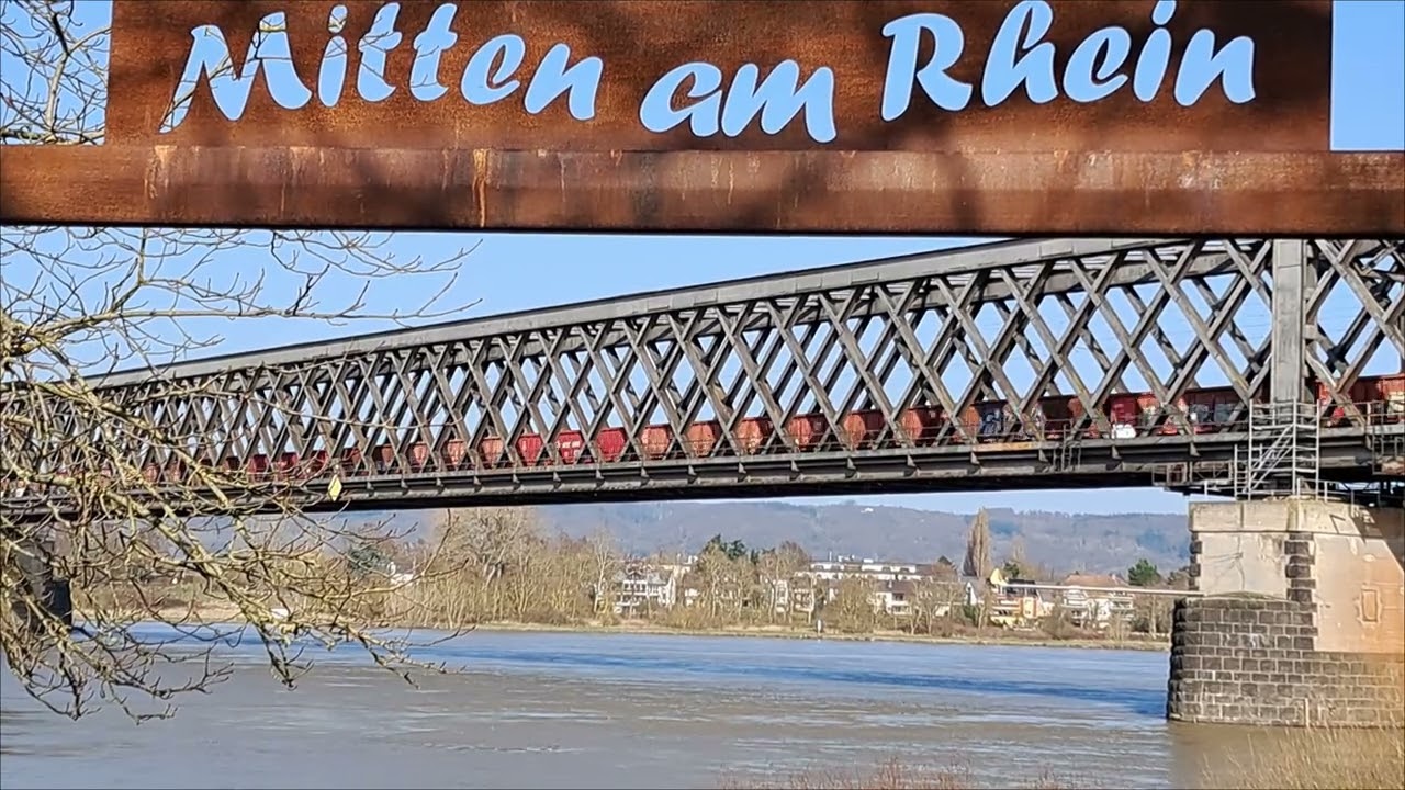 Züge Mitten am Rhein #brücke #schiff #bahn #rhineriver #trains 