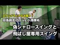 田島創志プロとのスイング談義・２「偽シャローと飛ばし屋専用のスイング」【ゴルフスイング物理学(東京と松本市で個人レッスン受付中)】