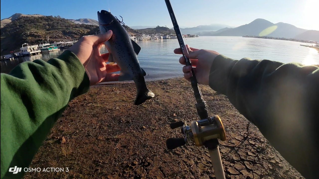 Shore fishing big baits at Pine Flat Lake