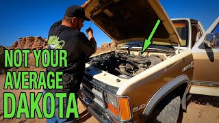 Rescuing A Fodge Bronkota