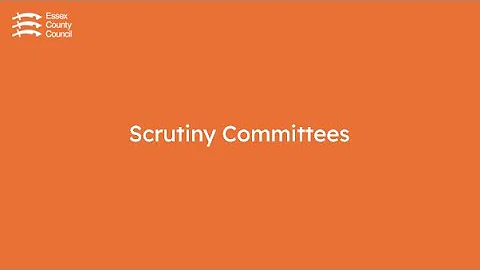 Health Overview Policy and Scrutiny Committee - Thursday 31 July 2025