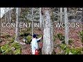 Logging Walnut for Furniture and Timber Frame Components Logging Walnut for Furniture and Timber Frame Components