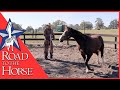 Road to the horse  pat parelli and the 6666 ranch colt natural stylish