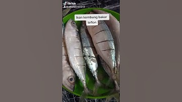 Ikan Kembung Bakar Teflon#short