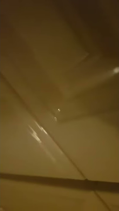 Bosch Dishwasher SMV88TX36E makes strange noises