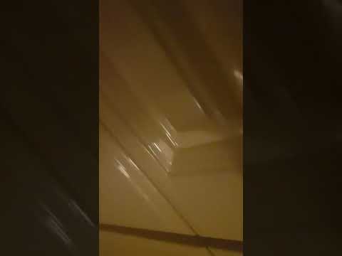 Bosch Dishwasher SMV88TX36E