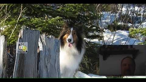 How to backup or copy dvds using Dvd Decrypter 2018