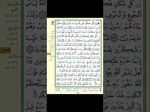 2025 02 05 محمد سيف الدين 