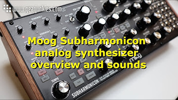 Moog Subharmonicon analog synthesizer overview and sounds