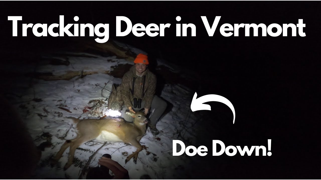 Tracking Deer in Vermont (Muzzy Success!) Vermont Muzzleloader Season