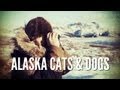 Alaska Predators | Trapping and Hunting in Alaska