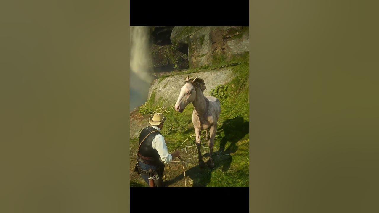 Beautiful and Rare Horse RDR2 YouTube