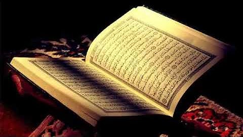 سورة هود _الحاج ميثم التمار