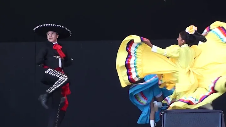 Ballet Folklrico Sonia Palacios - El son de la negra
