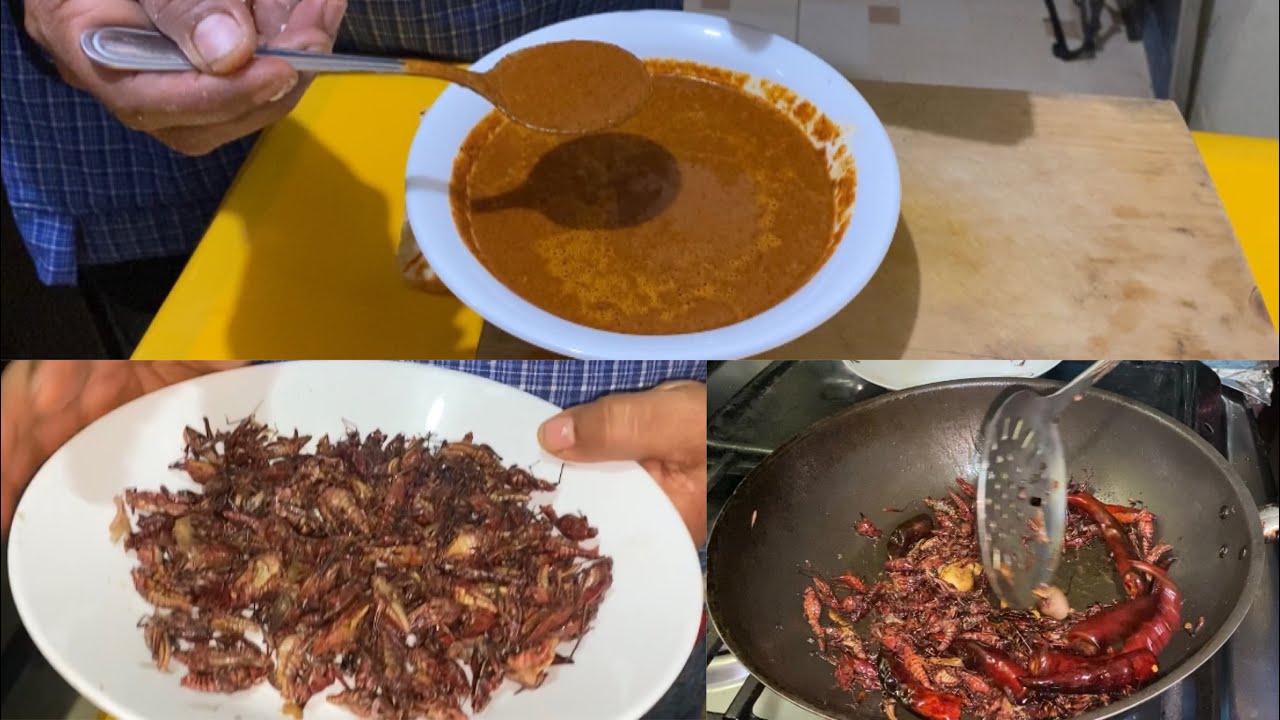 SALSA DE CHAPULINES 🦗 😋 #comidatipica #comidadeliciosa #oaxaca #suscribete