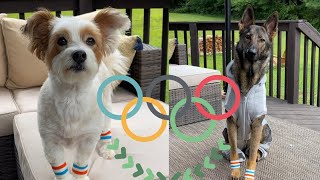 SIRI VOICEOVER MY DOGS SADIE & SASHA ARE READY FOR THE TOKYO OLYMPICS 2020