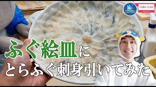 ふぐ絵皿にとらふぐ刺身を盛りつけた-Tofu blowfish sashimi served on a blowfish plate-