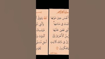 #القران_كريم 🎆 #سورة #الزمر #استغفر_الله_واتوب_إليه_استغفر_الله_العظيم 🏵