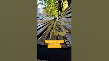 Как на фрилансе понять чего хотят и что думают клиенты?