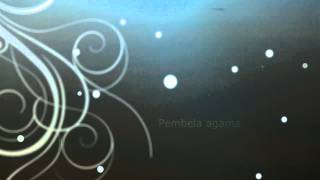 Hafiz Hamidun - Ya Rasul (LYRICS) HD