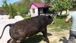 4 Adet Et Makinesi Yeni Sahibine Hayır Olsun.