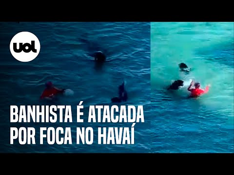 Banhista ignora alerta, entra no mar e é atacada por foca no Havaí