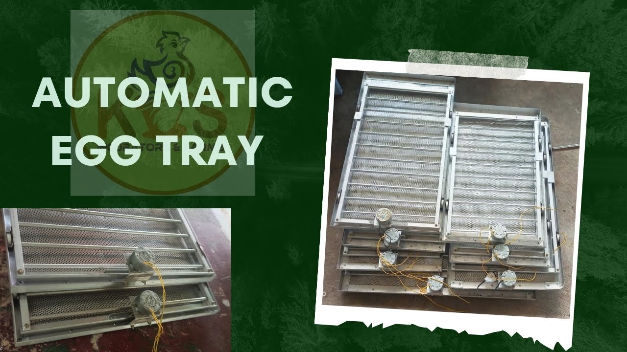 Automatic Incubator Egg Rolling Tray 104 Egg Capacity YouTube