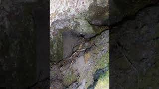 mystery cave, 6k, vertical