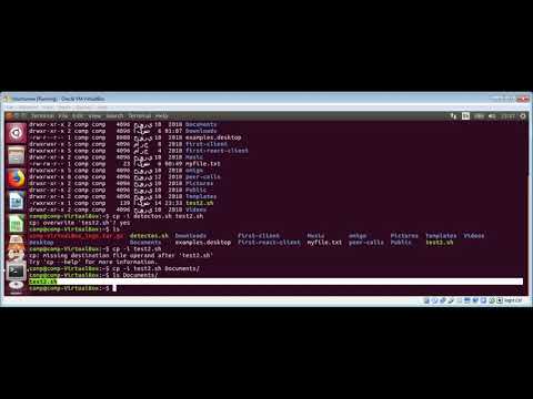 Linux Copying files with cp command