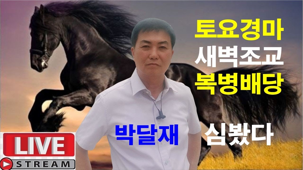 1월31일 토요경마 새벽조교 정밀분석 경마예상 추천마번 복병마 배당마 온종일 라이브 방송 서울경마 부경경마 경주분석 추천마번 예상방송 박달재