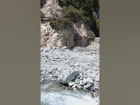 san bernardino forest falls - YouTube