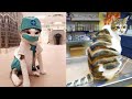 Funniest Animals - Best Of The 2021 Funny Animal Videos #32