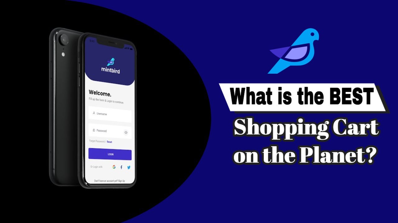 What is the Best Online Shopping Cart on the Planet? 