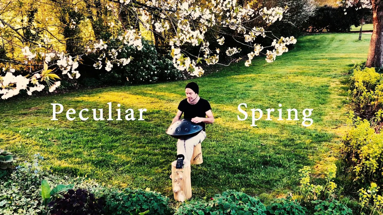 Peculiar Spring//Ayasa Handpan D Kurd 22