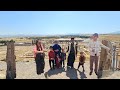 Shiraz Travel Vlog Part 2 Babak Family Visits The Magnificent Persepolis 