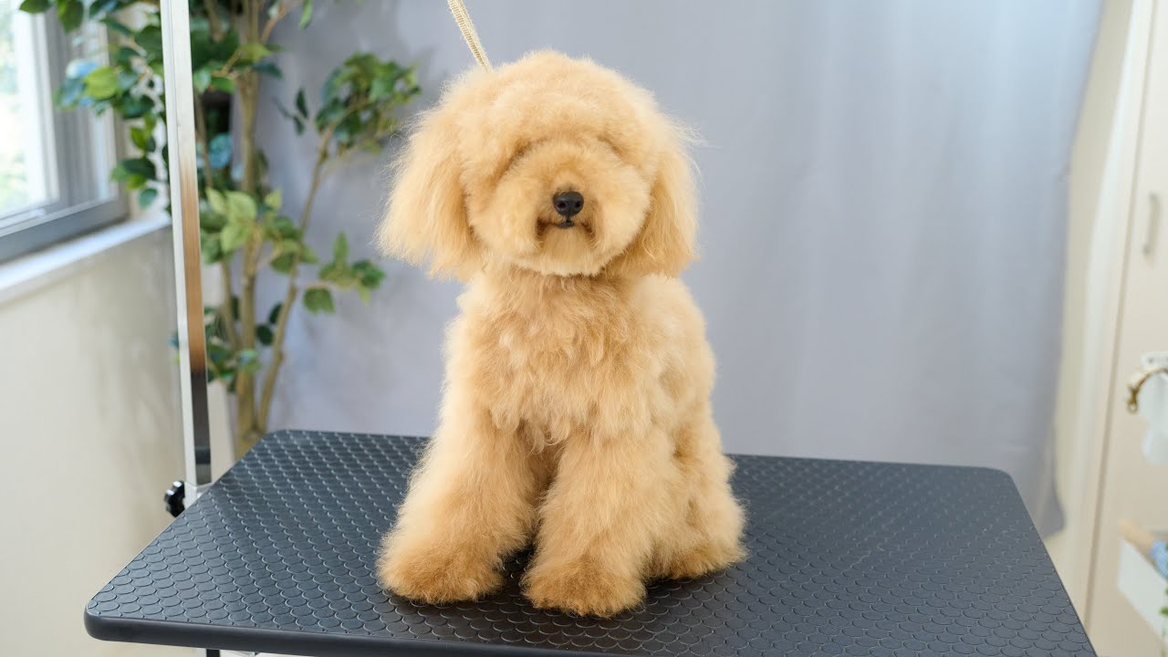 X27xahwqroj9rm X27xahwqroj9rm