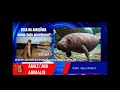 SECA NA AMAZÔNIA-Como tudo Aconteceu?https://www.aconteceupelomundo.com.br/ 