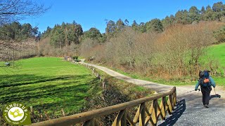 Camino de Santiago Francés Etapa 27 Palas de Rei Arzúa