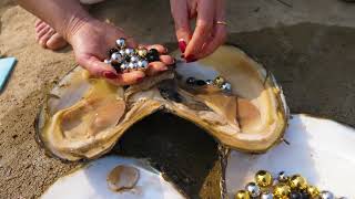 Pearl fisherman gets beautiful golden pearl in huge ugly oyster, also in  perfect shape 
