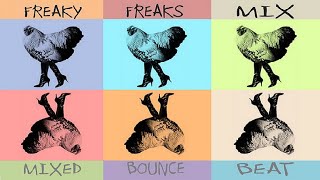 FREAKY FREAKS MIX - Various Artists